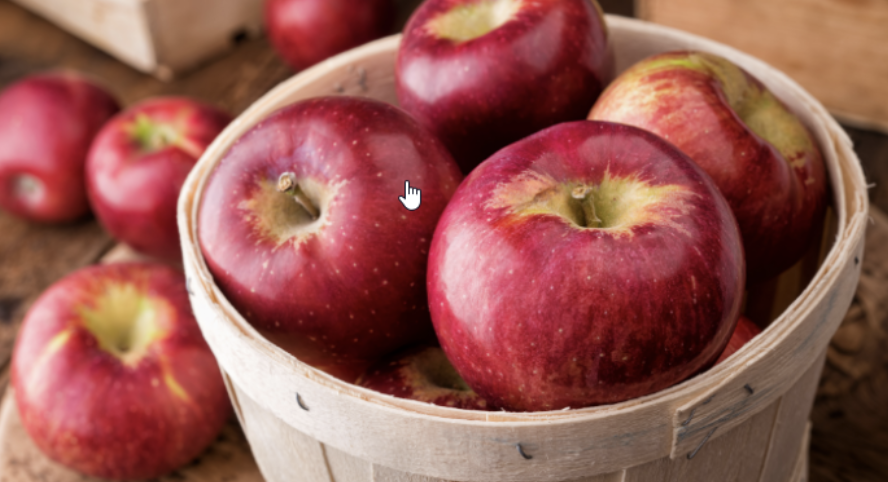 Sisterhood Apple Picking